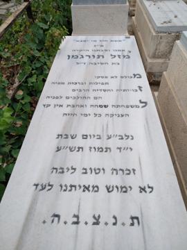 תמונת מצבה