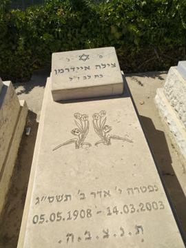 תמונת מצבה