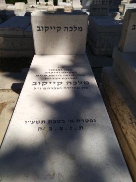 תמונת מצבה