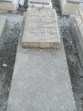 תמונת מצבה