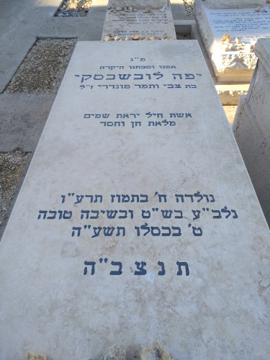 תמונת מצבה