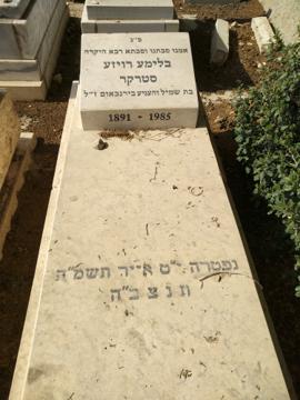 תמונת מצבה