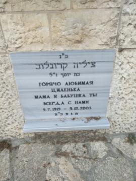 תמונת מצבה