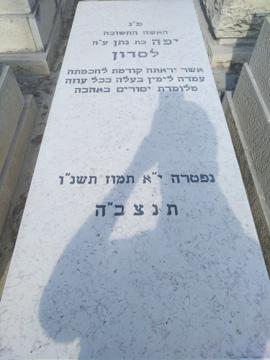 תמונת מצבה