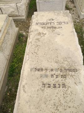 תמונת מצבה