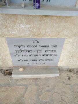 תמונת מצבה