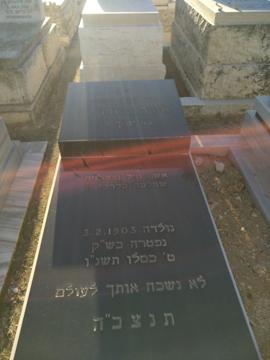 תמונת מצבה
