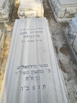 תמונת מצבה