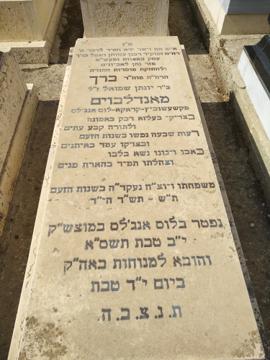 תמונת מצבה