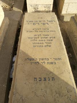 תמונת מצבה