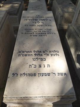 תמונת מצבה