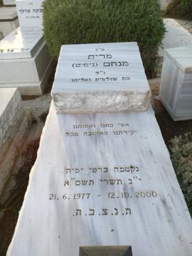 תמונת מצבה