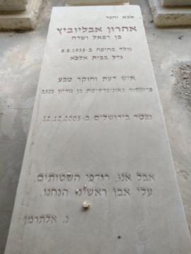 תמונת מצבה