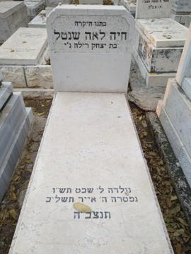 תמונת מצבה