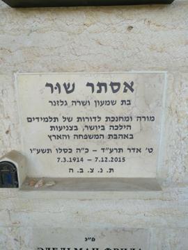תמונת מצבה