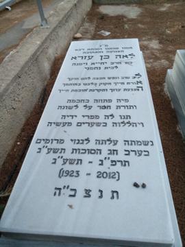 תמונת מצבה