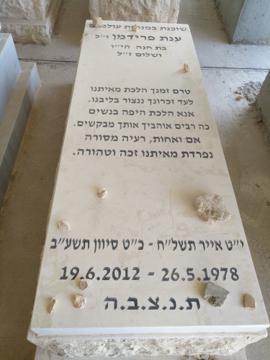 תמונת מצבה