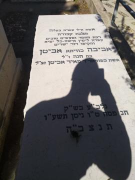 תמונת מצבה