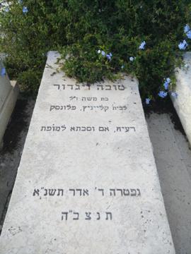 תמונת מצבה