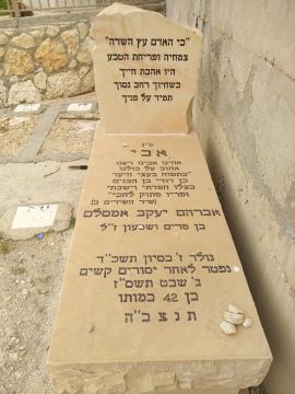 תמונת מצבה