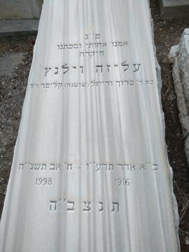 תמונת מצבה