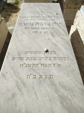 תמונת מצבה