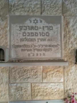 תמונת מצבה