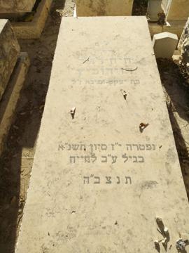 תמונת מצבה