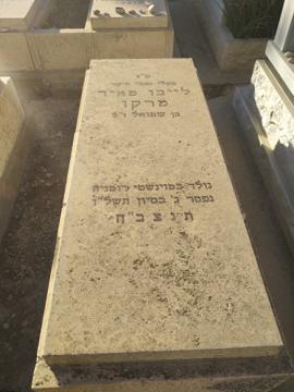 תמונת מצבה