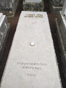 תמונת מצבה