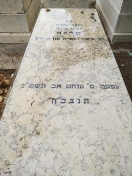 תמונת מצבה