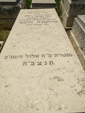 תמונת מצבה