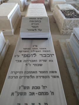 תמונת מצבה