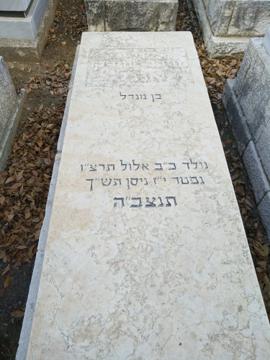 תמונת מצבה