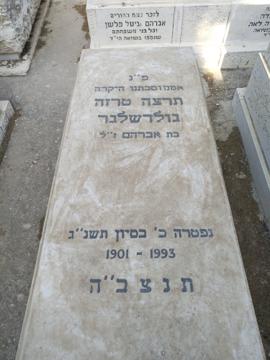 תמונת מצבה