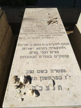 תמונת מצבה