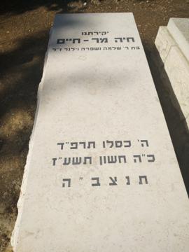 תמונת מצבה