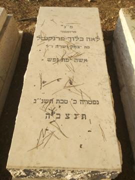 תמונת מצבה
