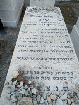 תמונת מצבה