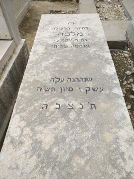 תמונת מצבה