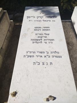 תמונת מצבה