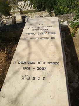 תמונת מצבה