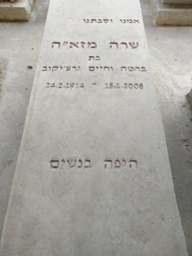 תמונת מצבה