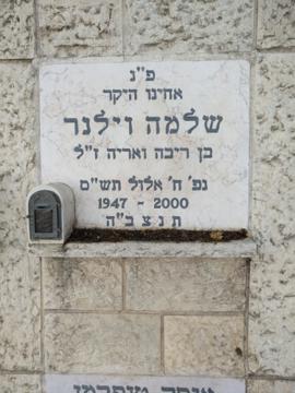 תמונת מצבה