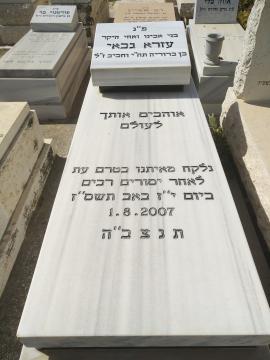 תמונת מצבה