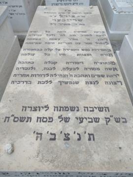 תמונת מצבה
