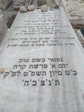 תמונת מצבה