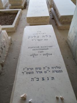 תמונת מצבה
