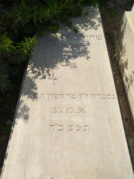 תמונת מצבה