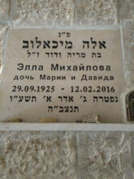תמונת מצבה